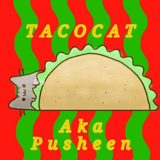 pusheen taco cat