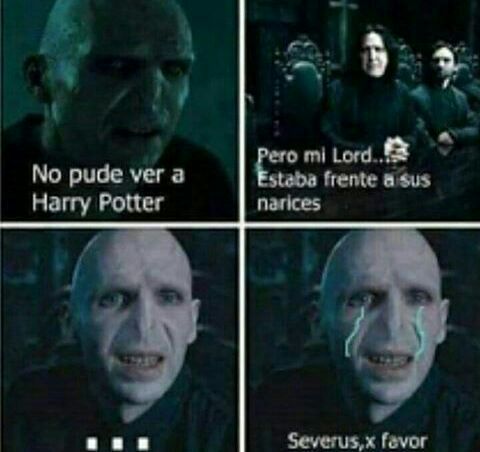 Voldy 