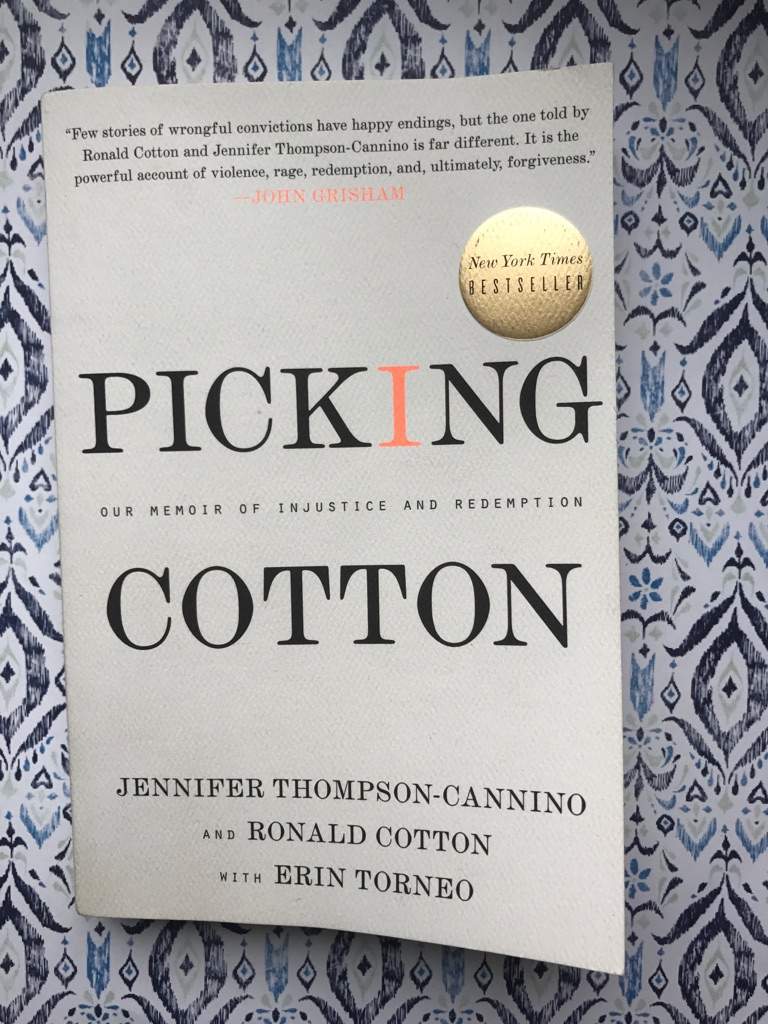 picking cotton by jennifer thompson cannino