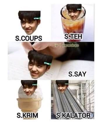13 Memebers But Why Are You Called Seventeen Wiki Carat