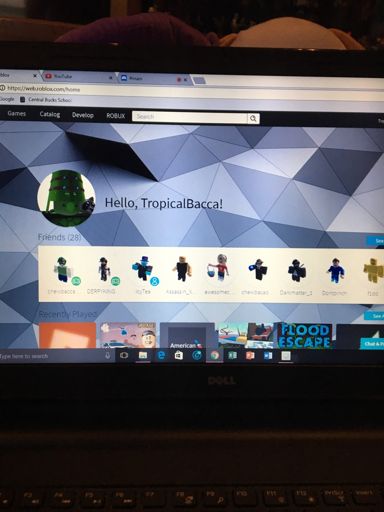 Icy Tea Friended Me Roblox Amino