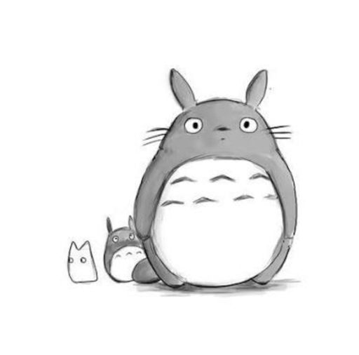 Drawing Totoro Art Tutorial Studio Ghibli Amino