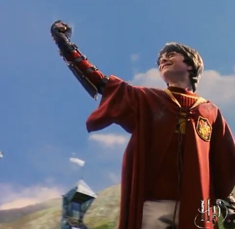 partido quidditch harry potter