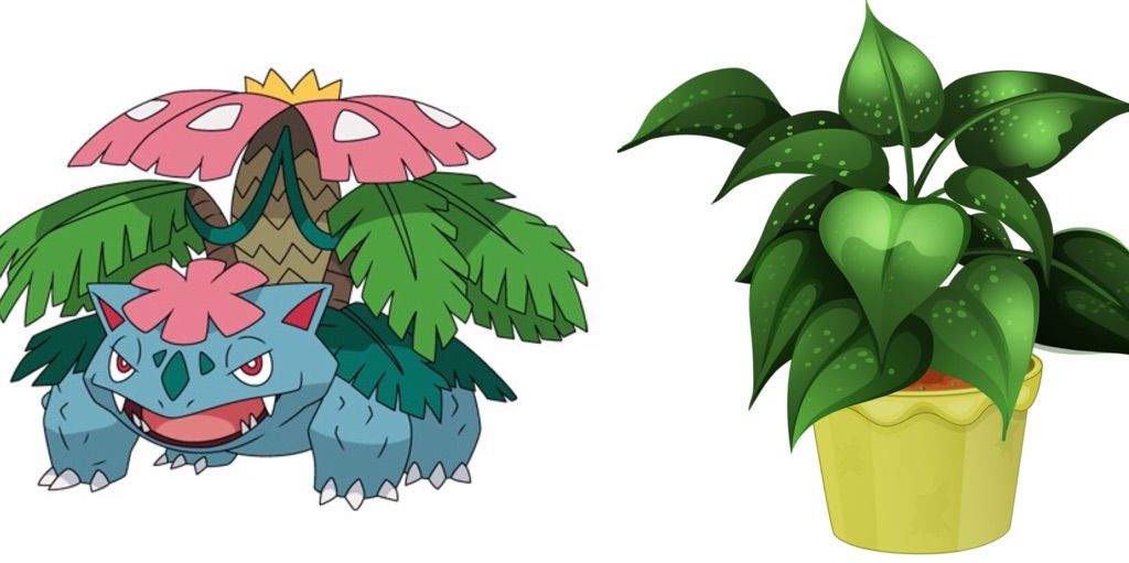 Venusaur's Origin • TrueOrigins Pokémon Amino