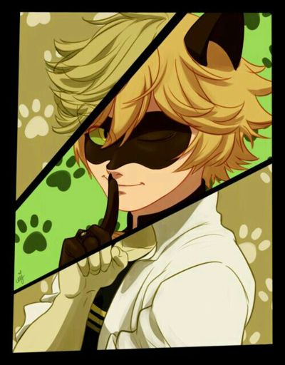 Featured image of post Im genes De Cat Noir Y Adrien El tiene el miraculous del gato negro que gracias a plaga lo su padre es el villano de la serie hawk moth el que convierte a la gente en supervillanos para obtener los miraculous de ladybug y cat noir