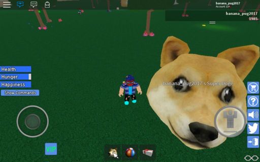 Me And My Super Doge Roblox Amino