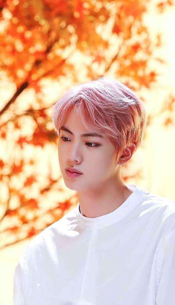 Kim Seokjin | ARMY's Amino