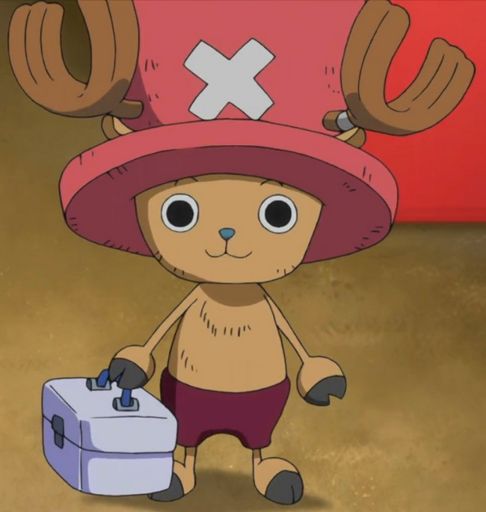 Chopper Awakening One Piece Amino 