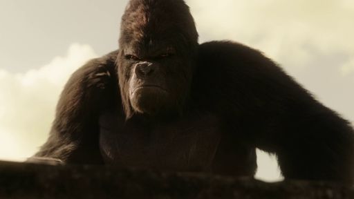 Gorilla Grodd Wiki The Flash Amino 4857