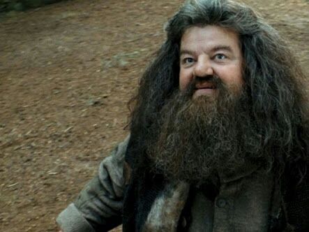 Rubeus Hagrid | Wiki | •Harry Potter• Español Amino