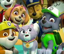 cali paw patrol