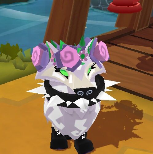 animal jam play wild arctic wolf outfits