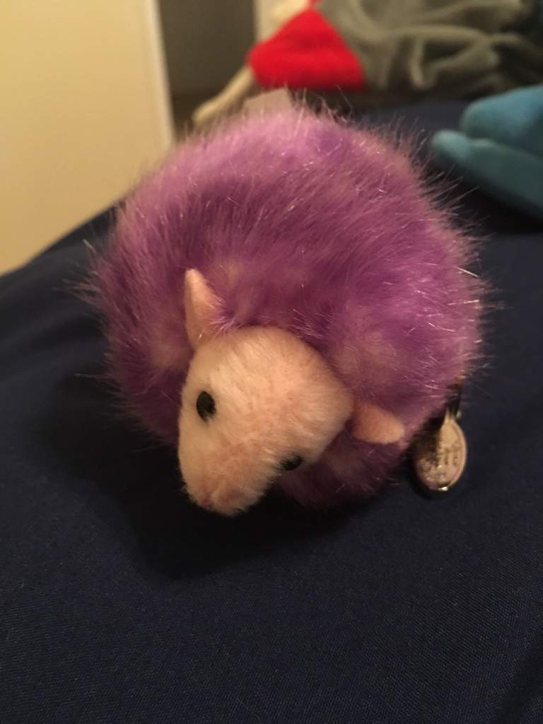 purple pygmy puff harry potter