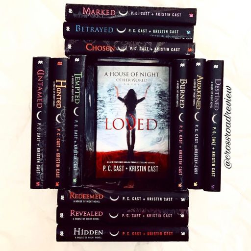 loved house of night other world audiobook