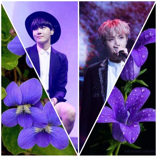 bts birth flowers & their meanings🌷 ARMY's Amino