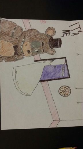 FNAF Fanart -- Freddy Fazbear | Five Nights At Freddy's Amino