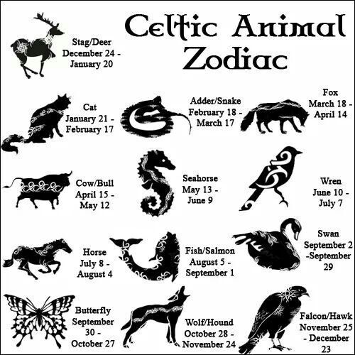 Familiars Spirit Animals Animal Guides Wiki Pagans Witches Amino