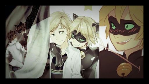 Cat Noir X Adrien 