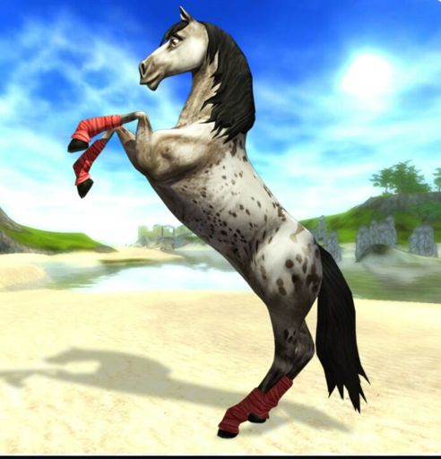 Star Stable Online Amino