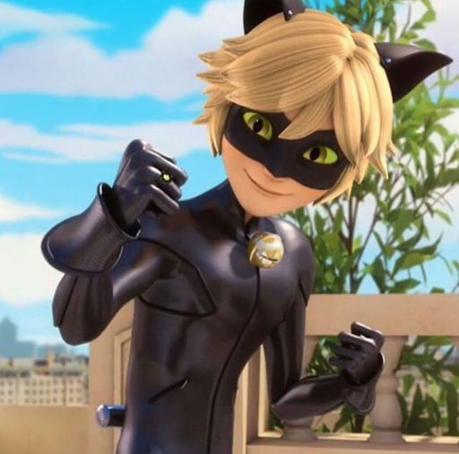 Cat Noir | Wiki | Miraculous Amino