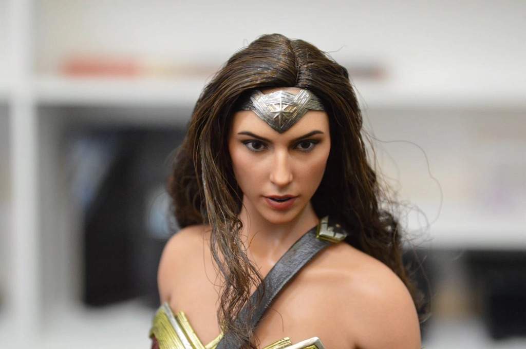 hottoys wonder