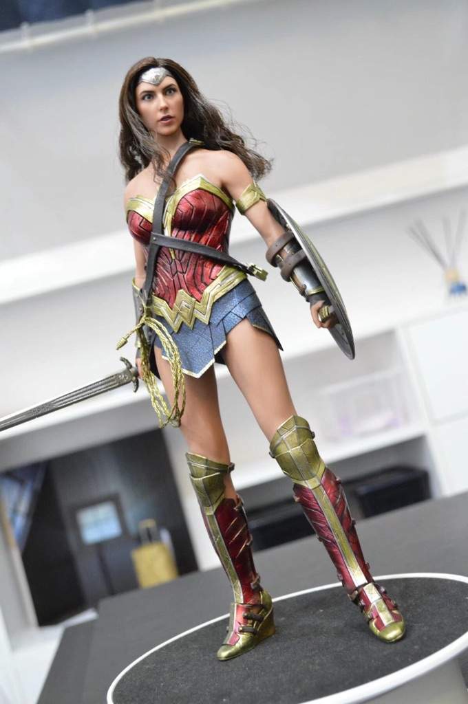 hottoys wonder