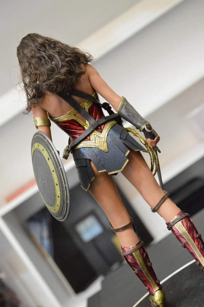 hottoys wonder