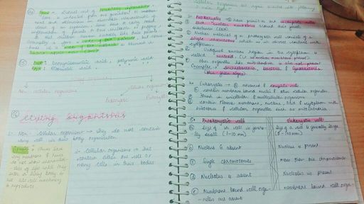 My Biology Notes | Studying Amino Amino