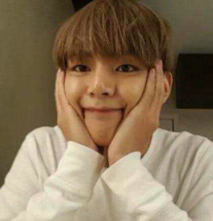 bts v ideal type of girl
