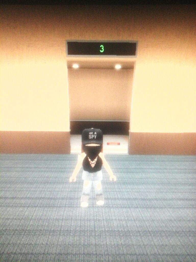 Playing The Normal Elevator Roblox Amino