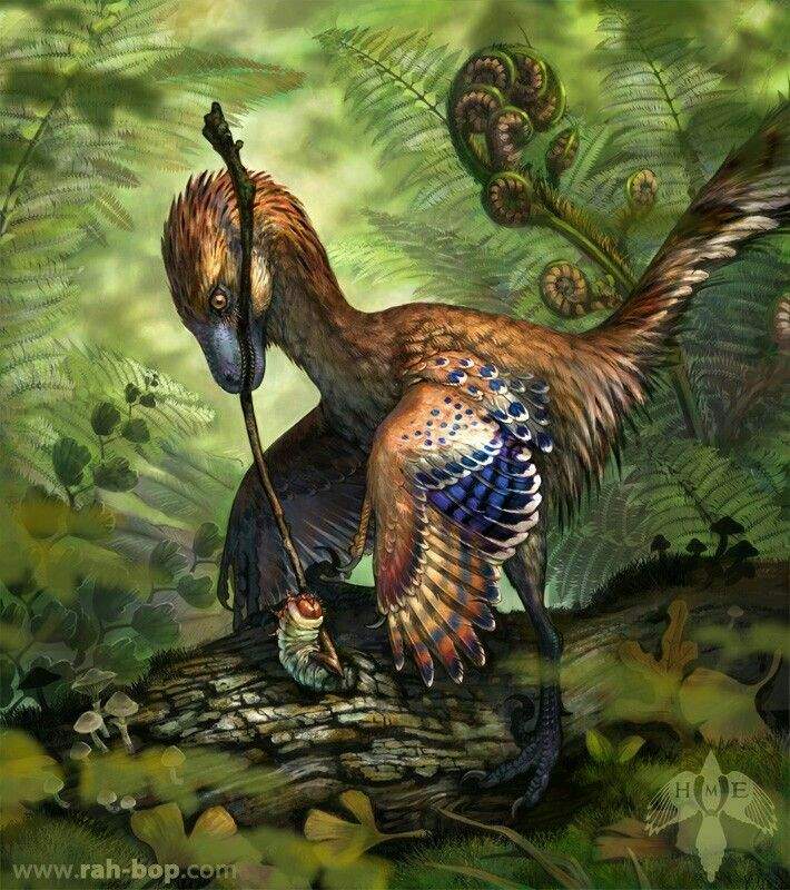 microraptor planet dinosaur