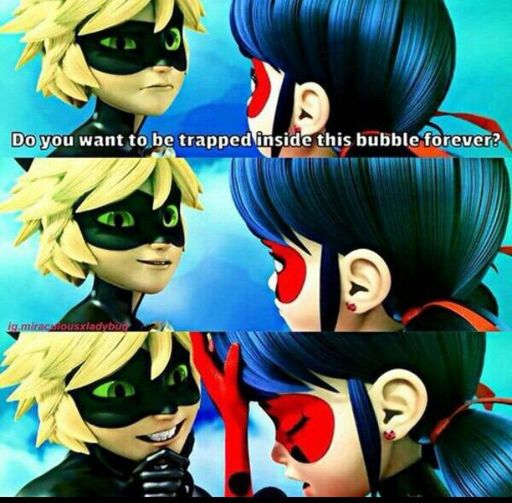 Cat Noir Is So Cute 😻😻and Ladybug Is So Adorable 🐞🐞 