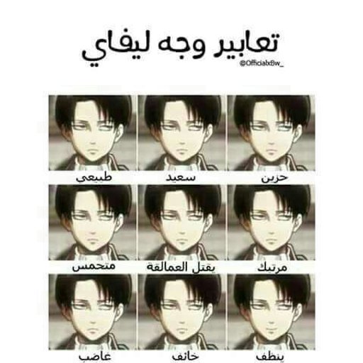 سلسلة المحقق ايرين Attack On Titan هجوم العمالقة Amino