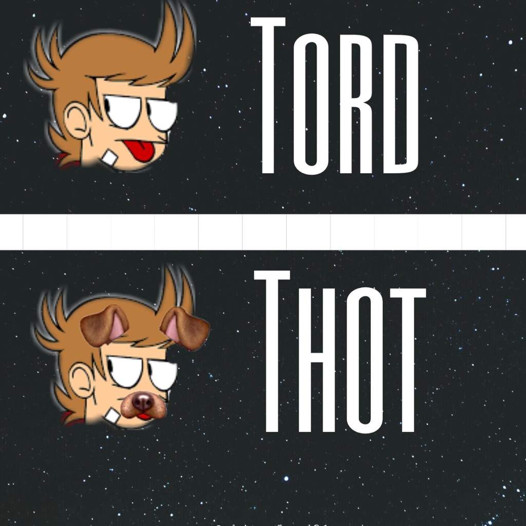 tell a tord from a thot wiki 92eddsworld92 amino