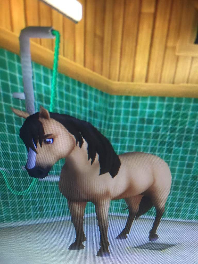 Spirt Wiki Star Stable Online Amino