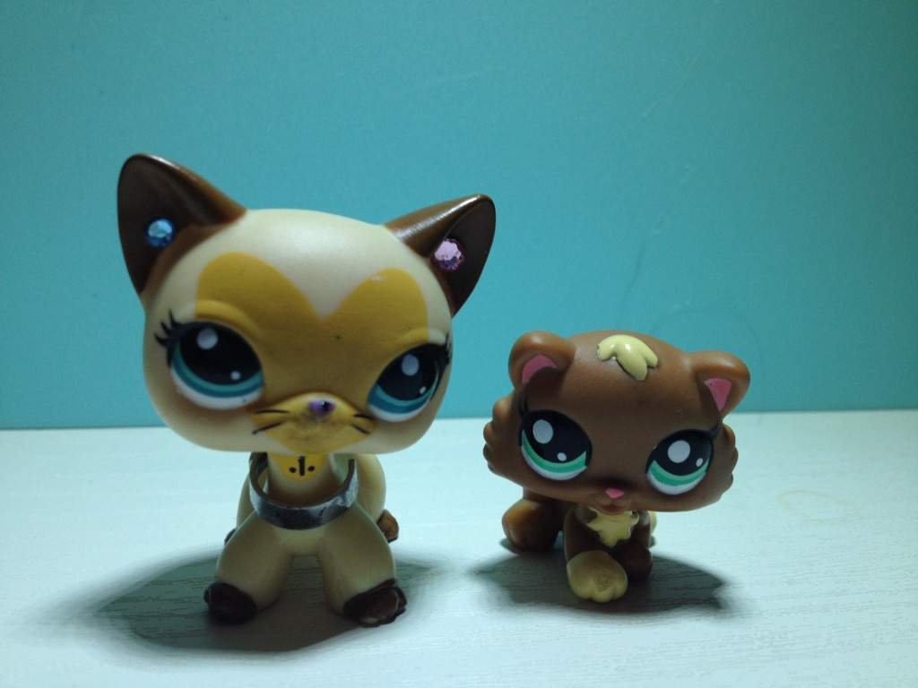 lps puppies and kittens