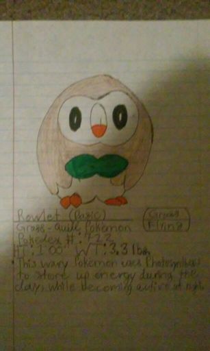 My Rowlet Evolution Artwork Pokémon Amino 1407