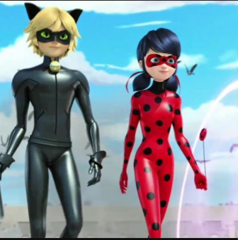 Cat Noir And Ladybug Love Team Miraculous Amino