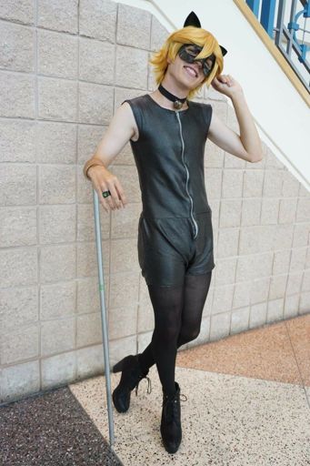 Bunny Suit Chat Noir Cosplay Amino