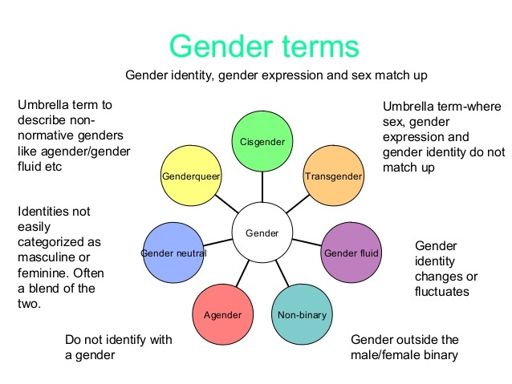 Genderqueer Vs Nonbinary | Wiki | Safe Zone For LGBTQIA+ Amino