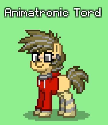 all tord pony town faces