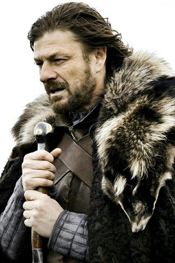 Ned Stark | Wiki | Juego De Tronos | En Español Amino