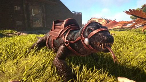 Galaxia The Megalania Ark Survival Evolved Amino