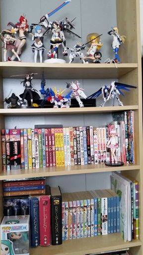 my anime figure collection