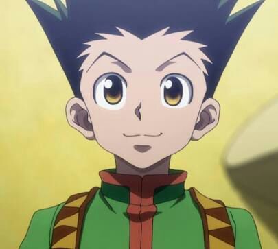 Featured image of post Hxh Wiki Gon