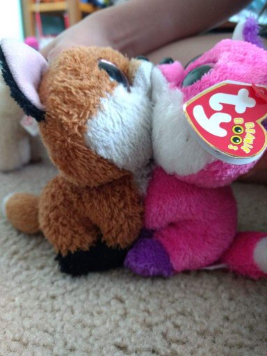 joey beanie boo
