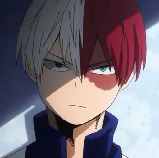 shoto todoroki age 2020