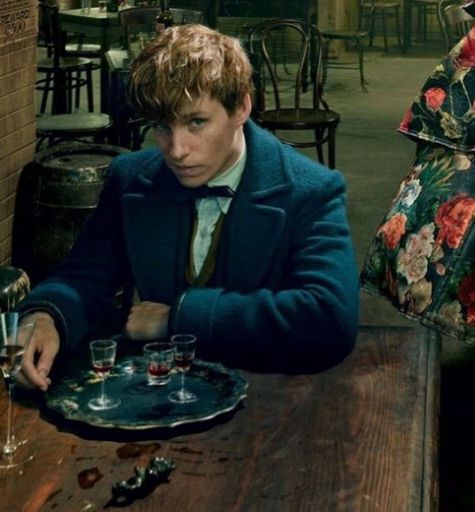 Newt Scamander Wiki Harry Potter Amino 7402