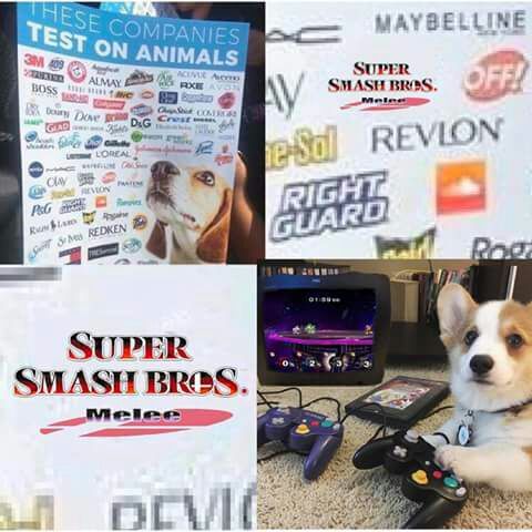 These Companies Test With Animals Smash Amino