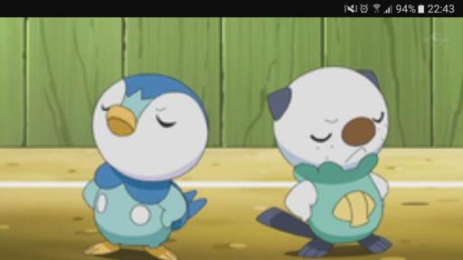 Piplup Vs Oshawott Pokémon Amino